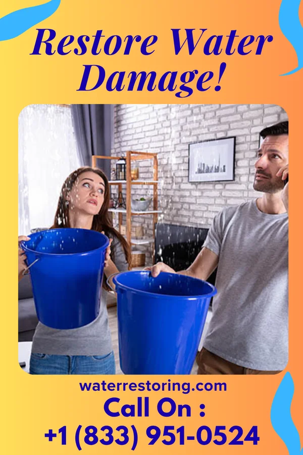 water restoration Southern Mitigation Force Ayr