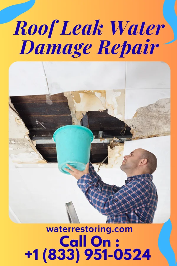 Roof Leak Water Damage Repair in Ayr, NE