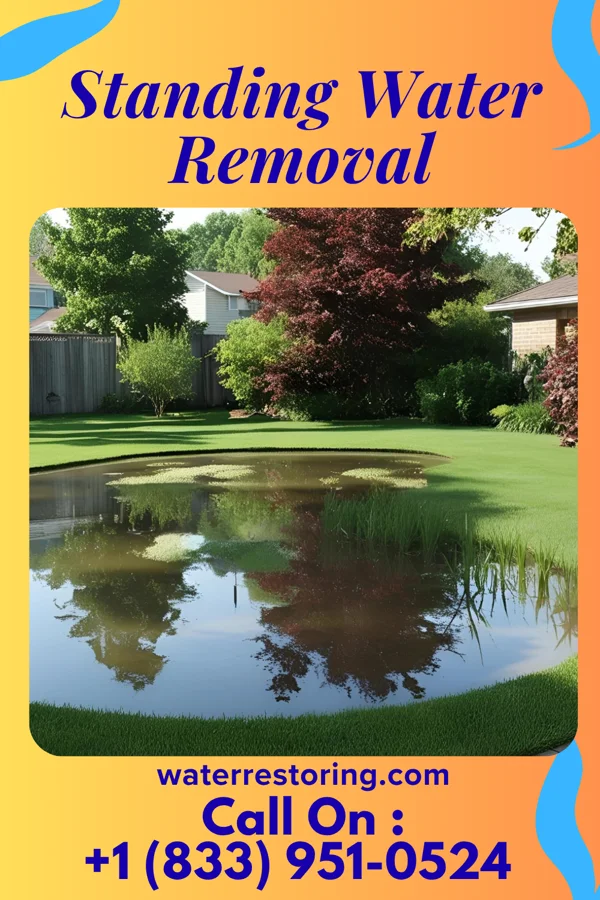 Standing Water Removal in Ayr, NE